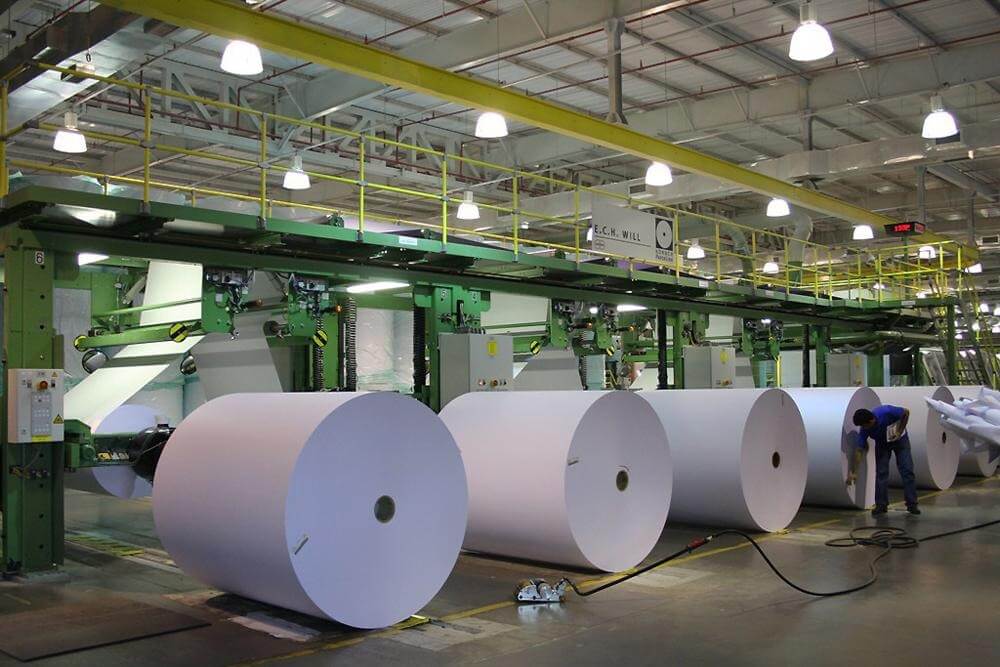 Papel & Celulose